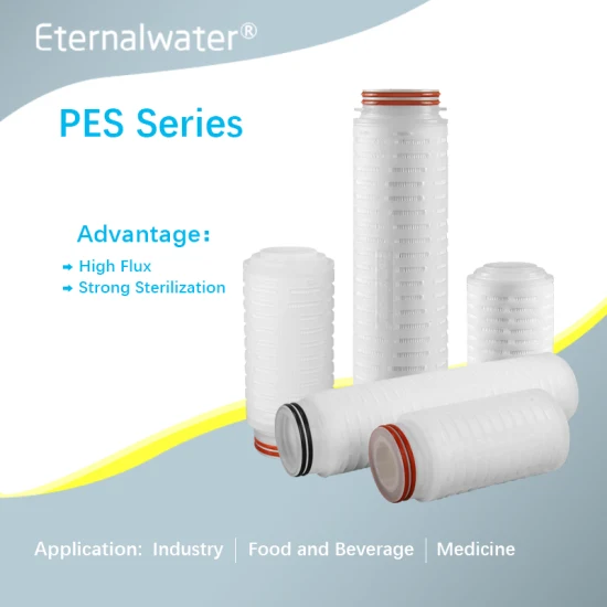 Pes Pleated Cartridge Filters for Pharmaceutical Filtration with DOE